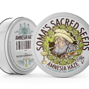 Soma sacred seeds - Amnesia Haze (Fem)