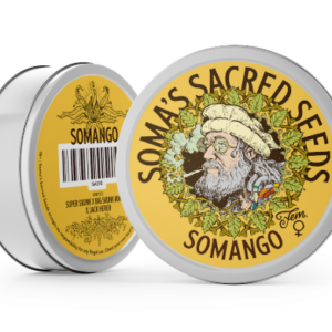 Soma sacred seeds - Somango (Fem)